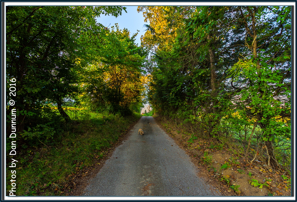 Morning Walk-3721-Edit.jpg