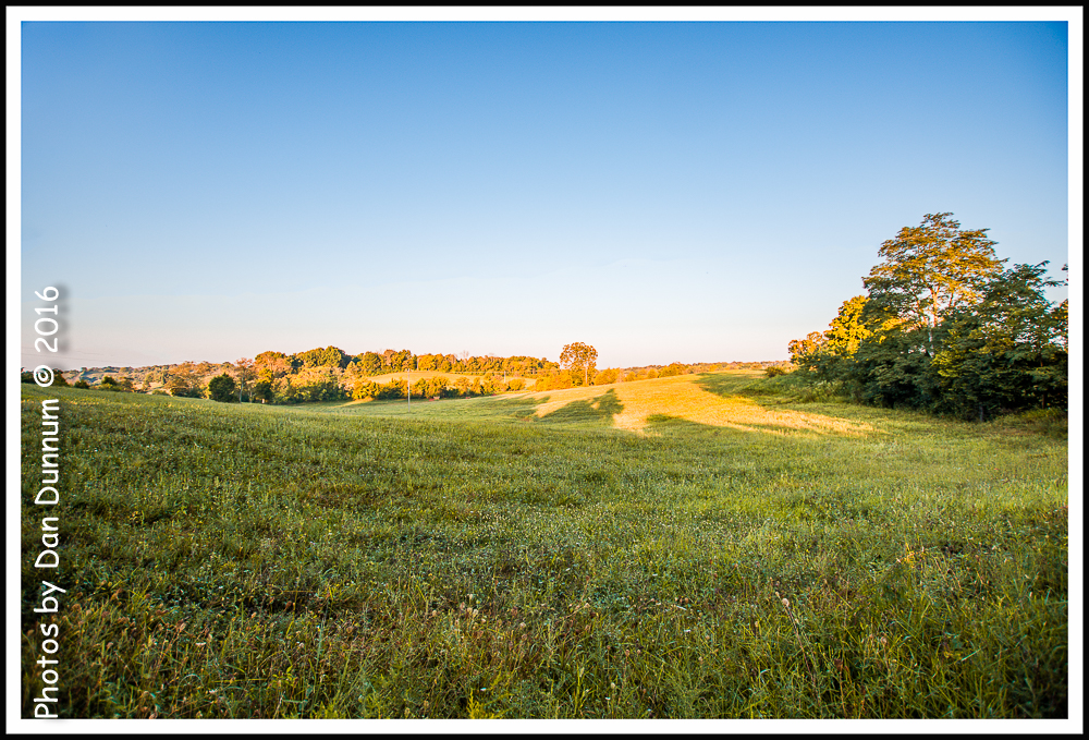 Morning Walk-3726-Edit.jpg