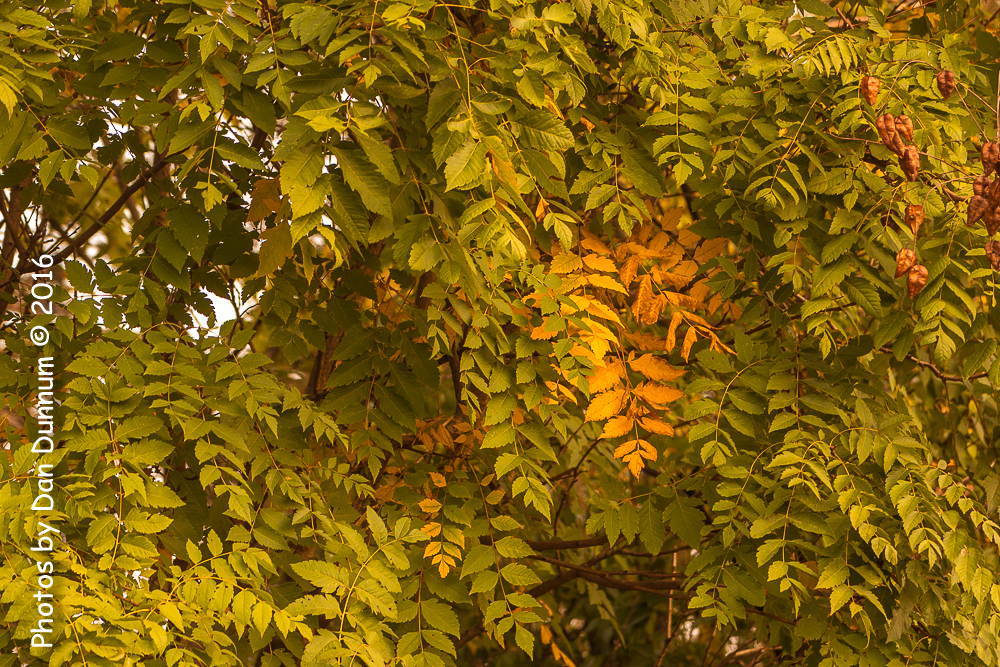 Morning Walk-4100.jpg