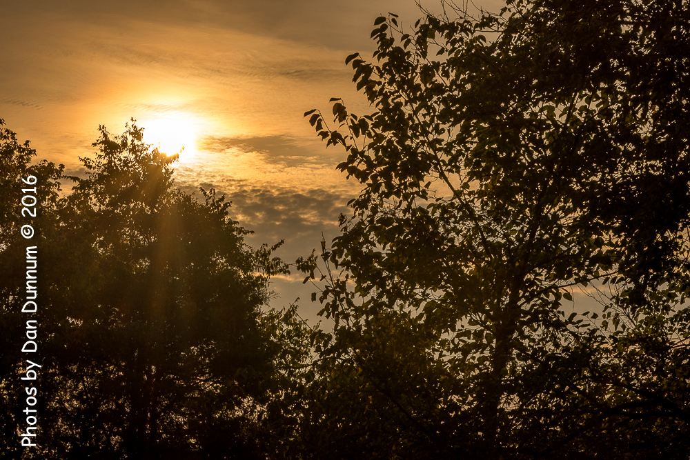 Morning Walk-4106.jpg