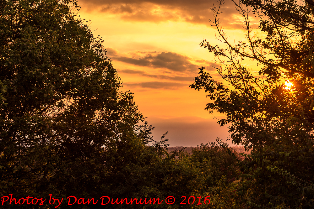 Morning Walk-4939.jpg