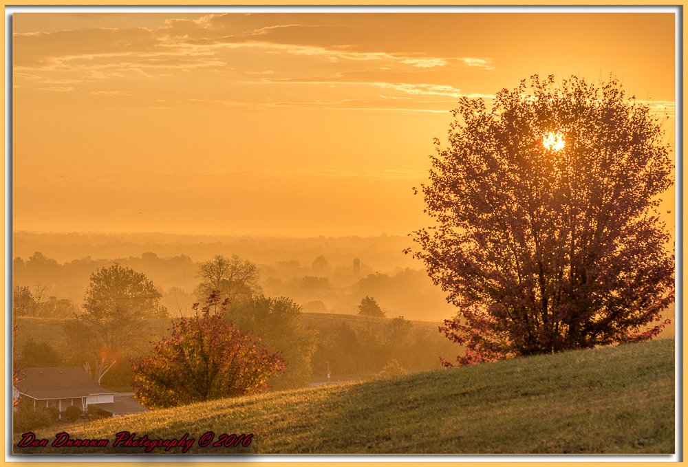 Morning Walk-6081-Edit.jpg