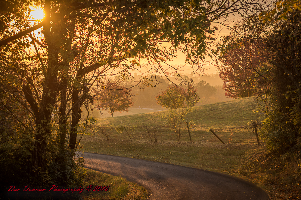 Morning Walk-6091.jpg