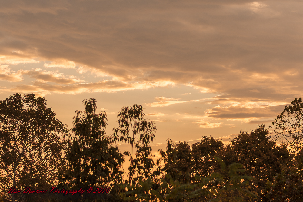Morning Walk-6096.jpg