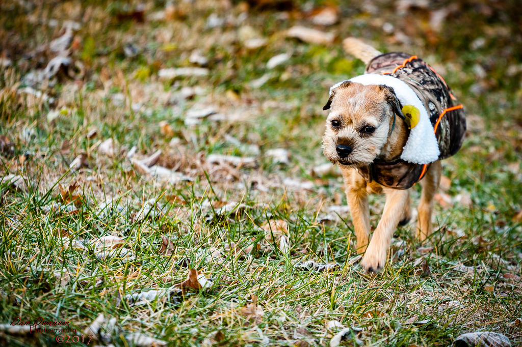Morning Walk-9789.jpg