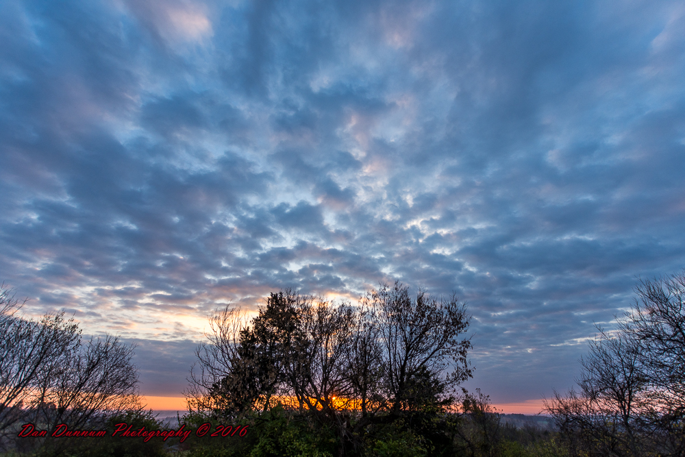 Mornings Dawn-7562.jpg