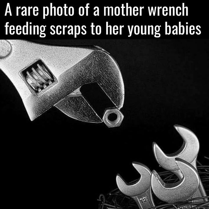 motherwrench.jpg