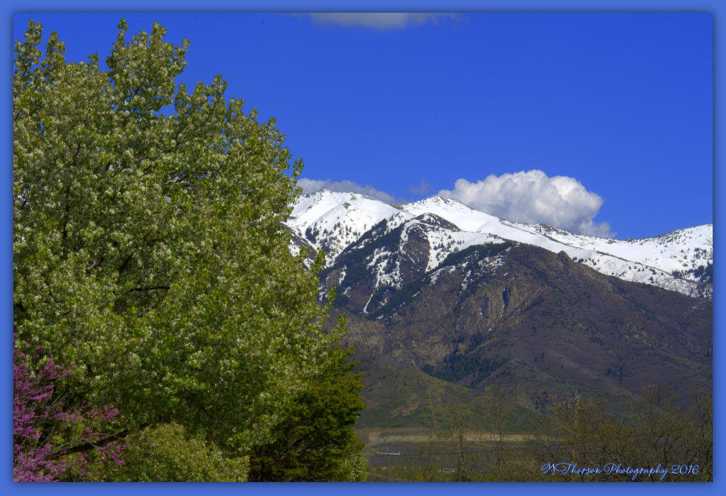 Mountain from King 4-20-2016.jpg