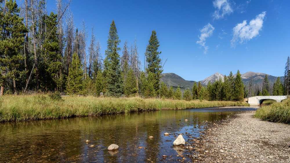 Mountain, RMNP--3.jpg