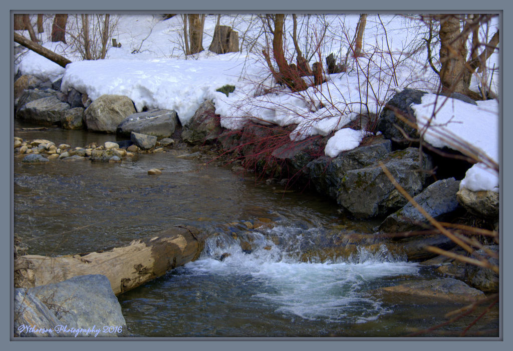 Mountain Stream with Snow 3-7-2016.jpg