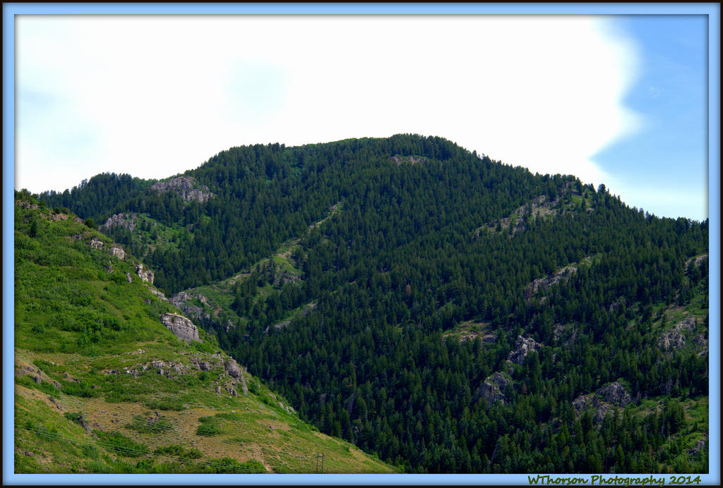 Mountain View 3.jpg