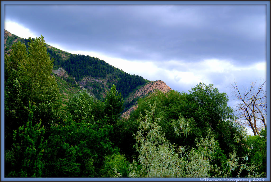 Mountain View.jpg