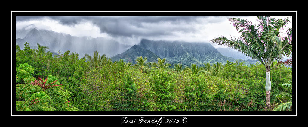 MountainClouds_Panorama1_Web.jpg