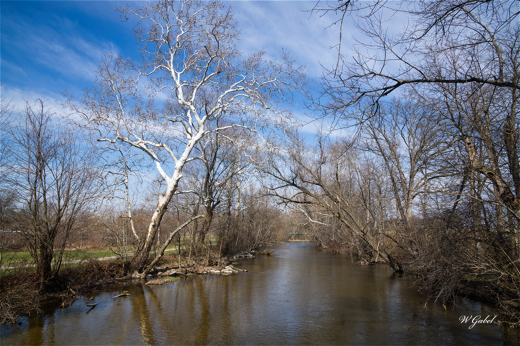 MountinCreeek02 sm.jpg