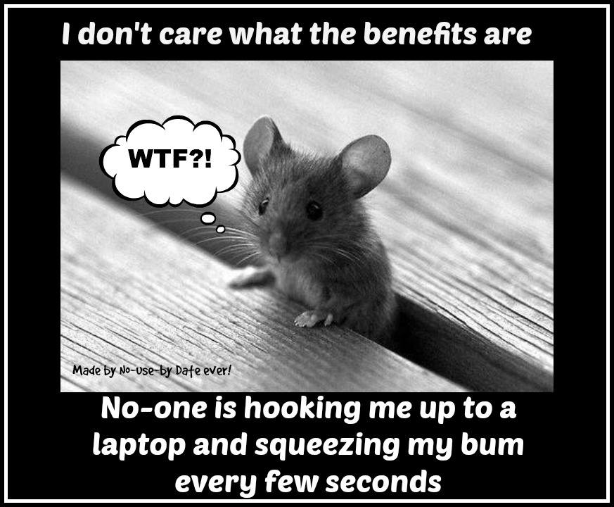 mouse.jpg