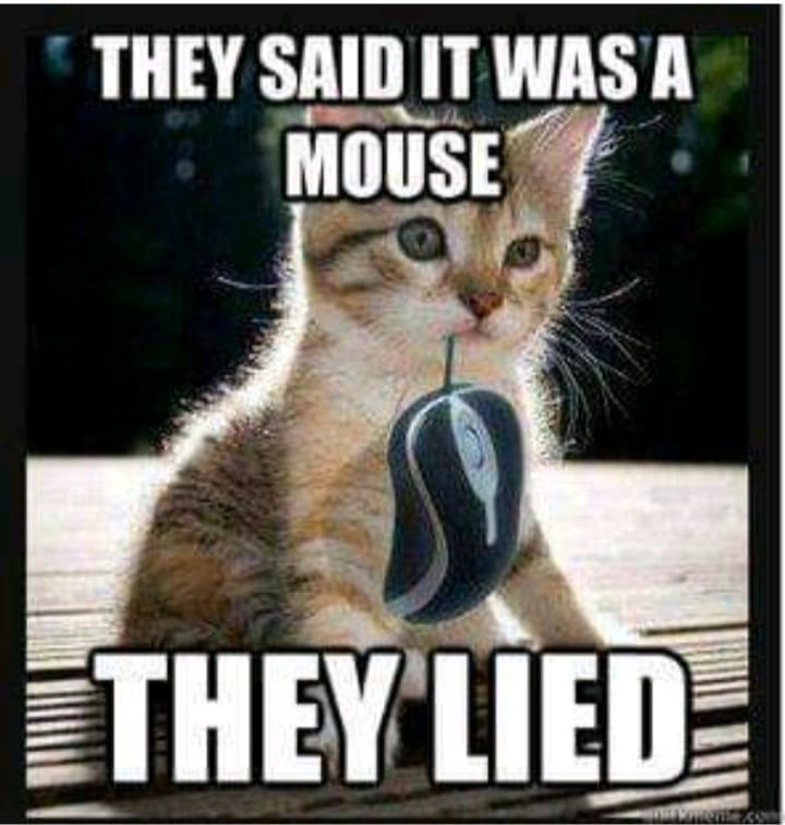 mouse.jpg