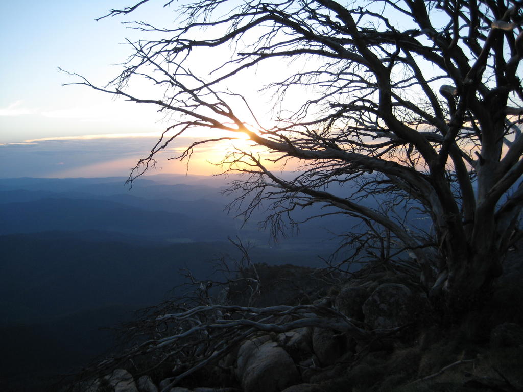 Mt Buffalo (22).jpg