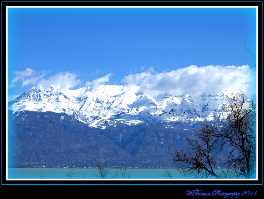 Mt. Timponogas with Utah Lake and Birds..jpg