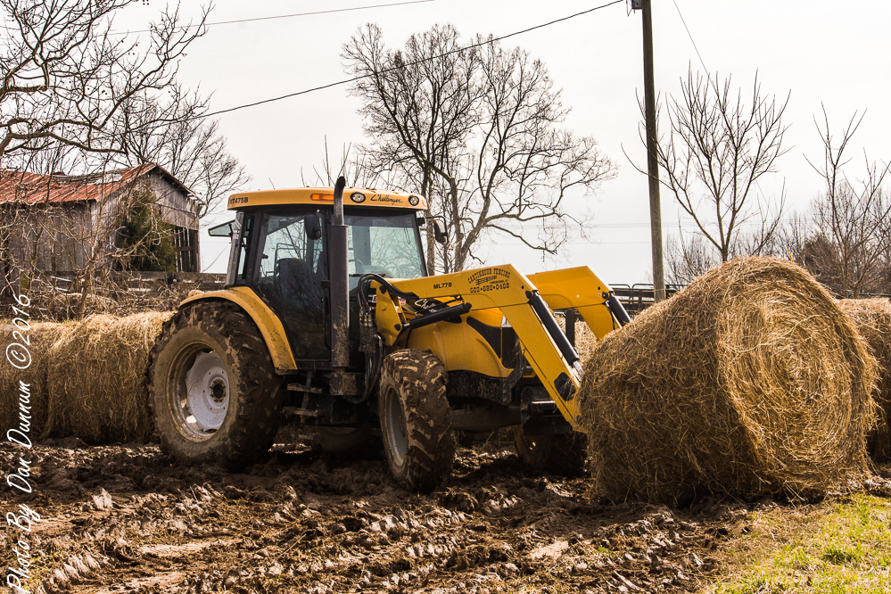 Mud and muck-3090.JPG