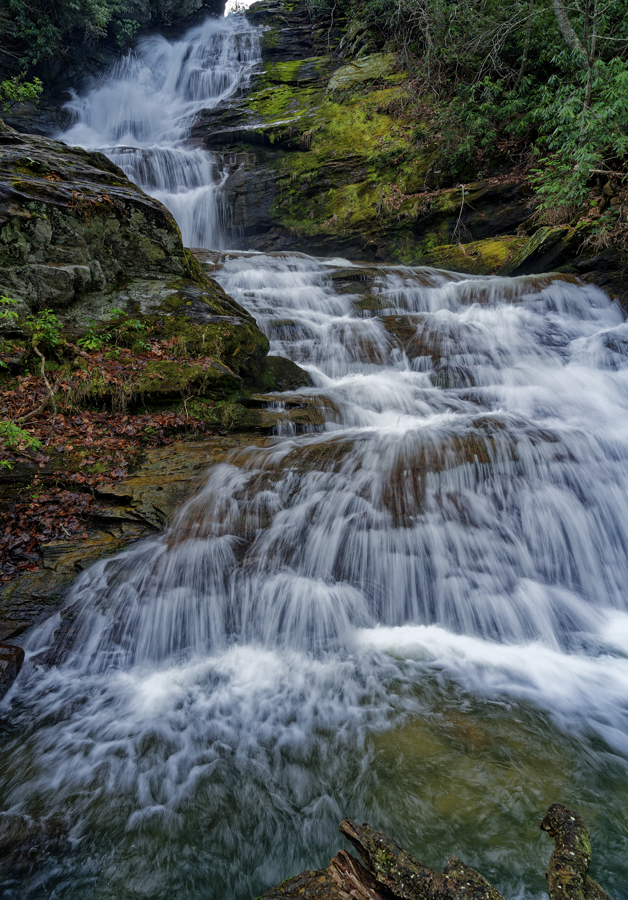 Mud Creek Falls.jpg
