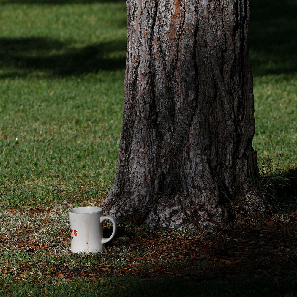 Mug.jpg