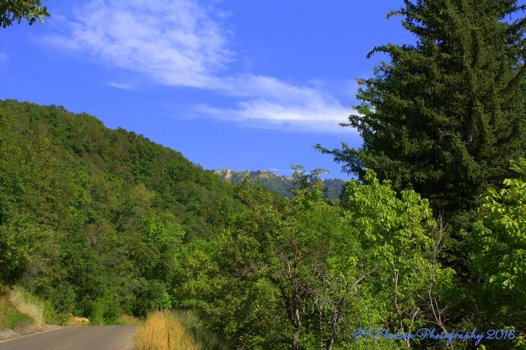 Muller Park #3  7-25-2016.jpg