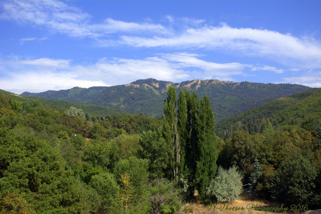 Muller Park  7-25-2016.jpg