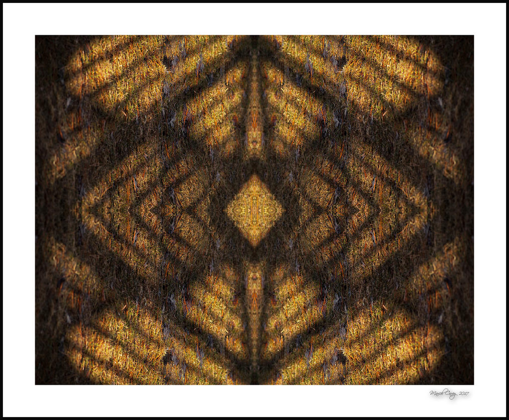 multiplication de l'ombre.jpg