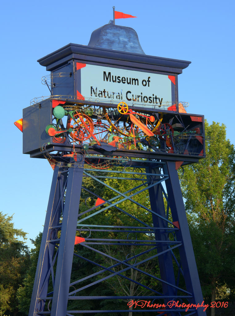 Museum of Natural Curiosity  7-7-2016.jpg