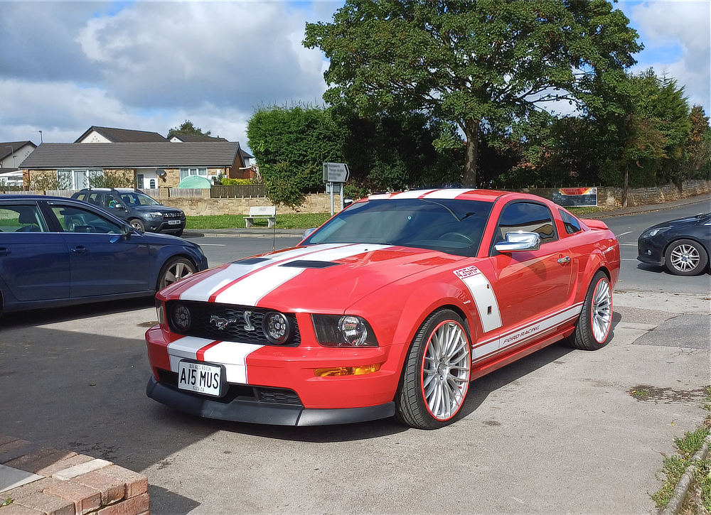 Mustang.jpg