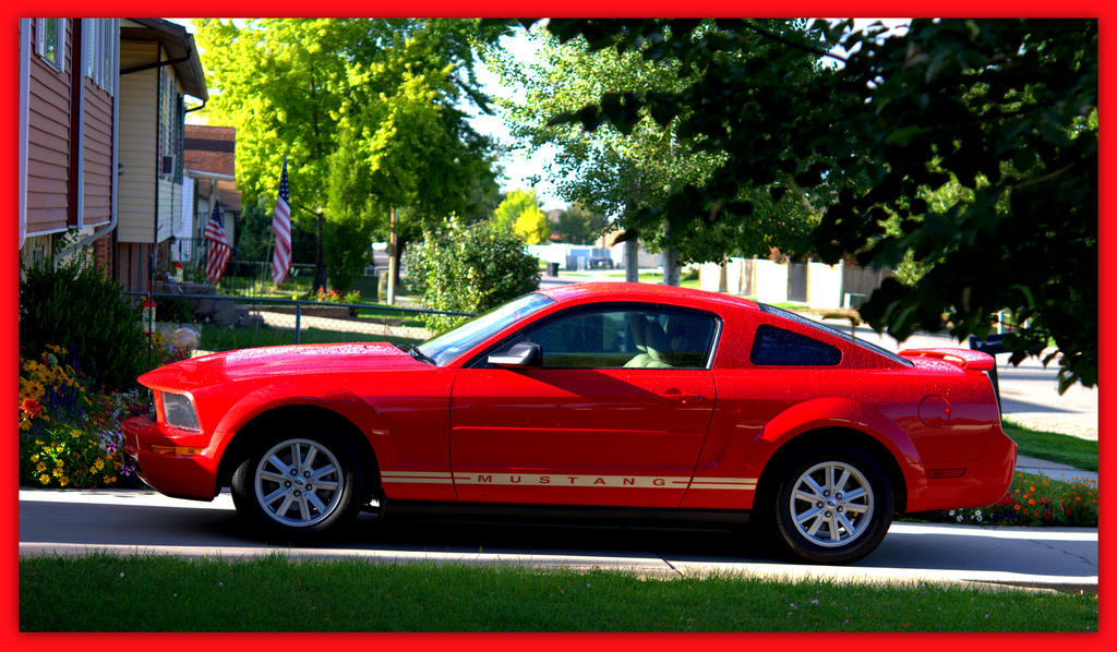 Mustang Sally after the Rain.jpg