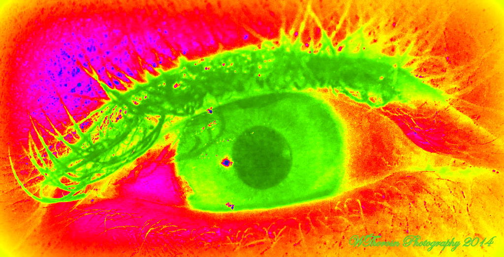 My Eye.jpg