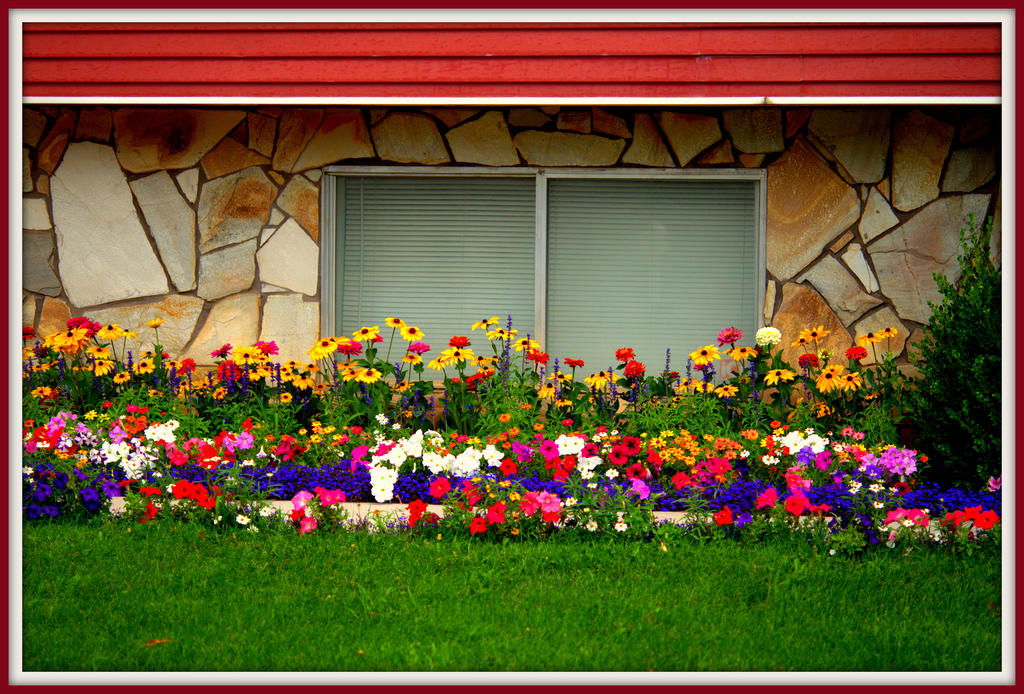 My Flower Garden.jpg
