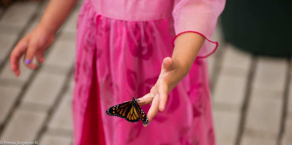 Mya holding butterfly.jpg