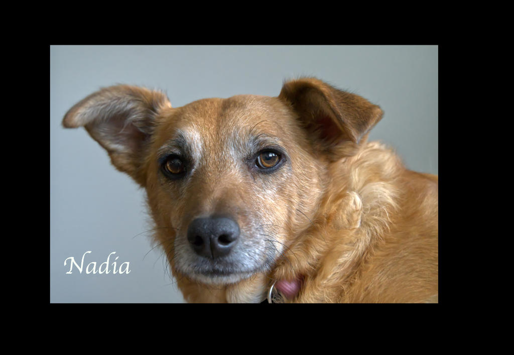 nadia 5003836N LR_5003836.jpg