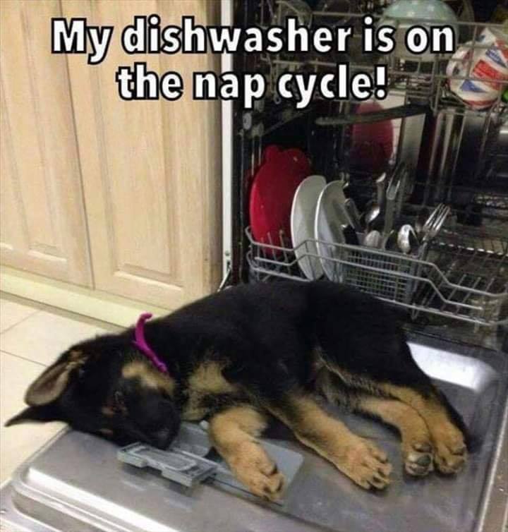 nap.jpg