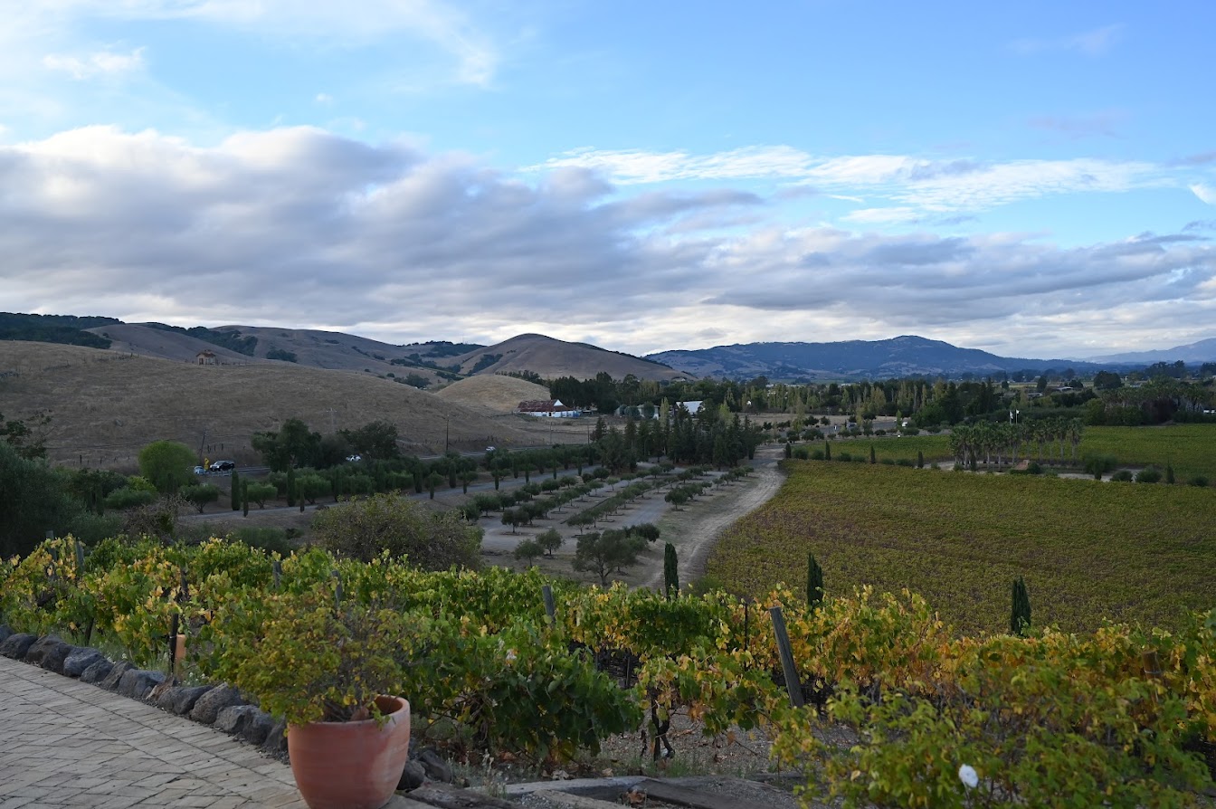 Napa Valley.JPG