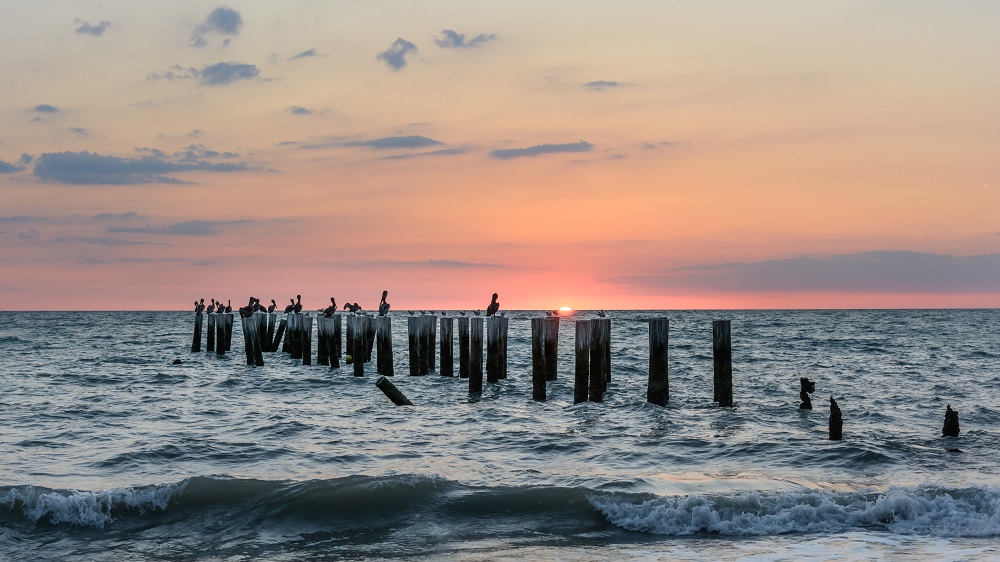 Naples.FL-8102.jpg