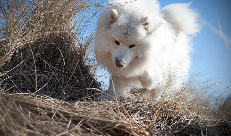 ND3_5049.JPG