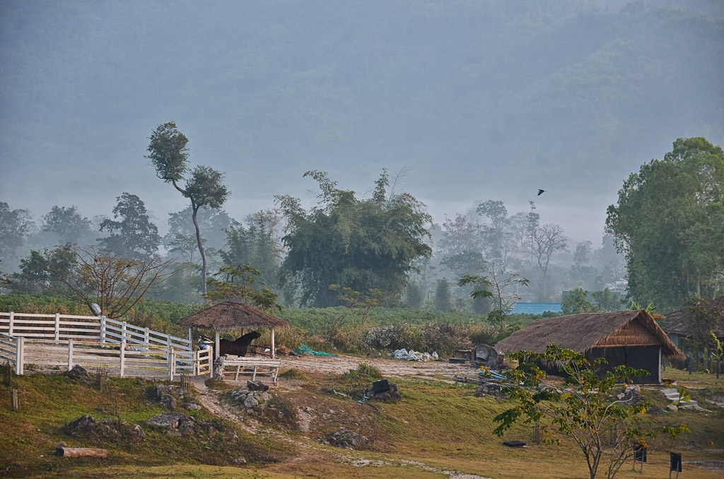 nebel-1.jpg