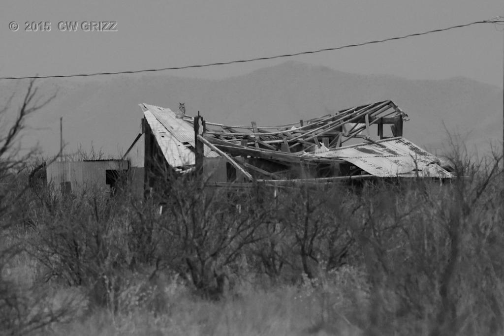 neglect-bw-a.jpg