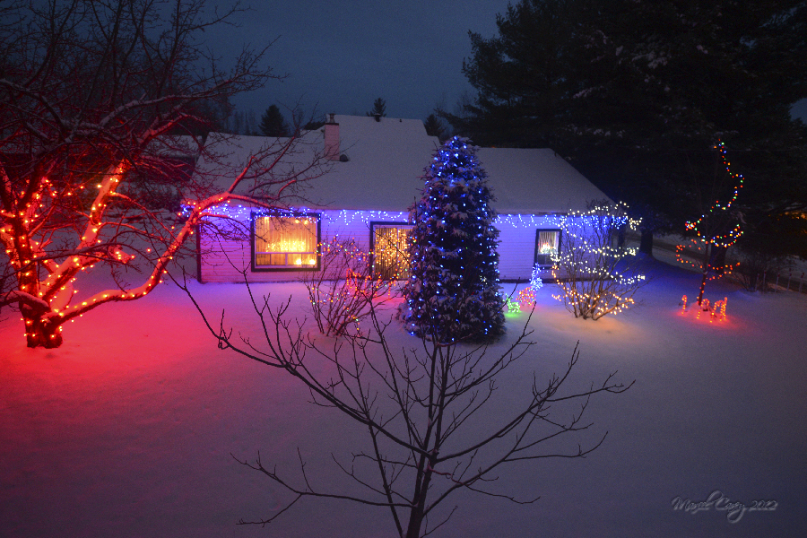 Neighbors' decorations.jpg