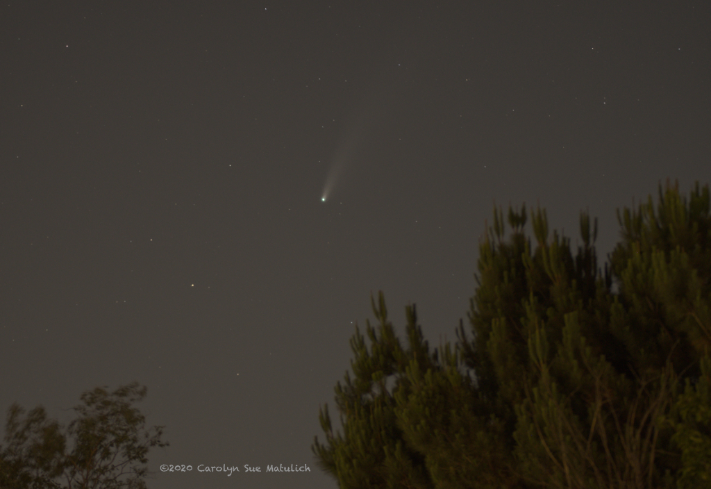 Neowise N FR 500_2952.jpg