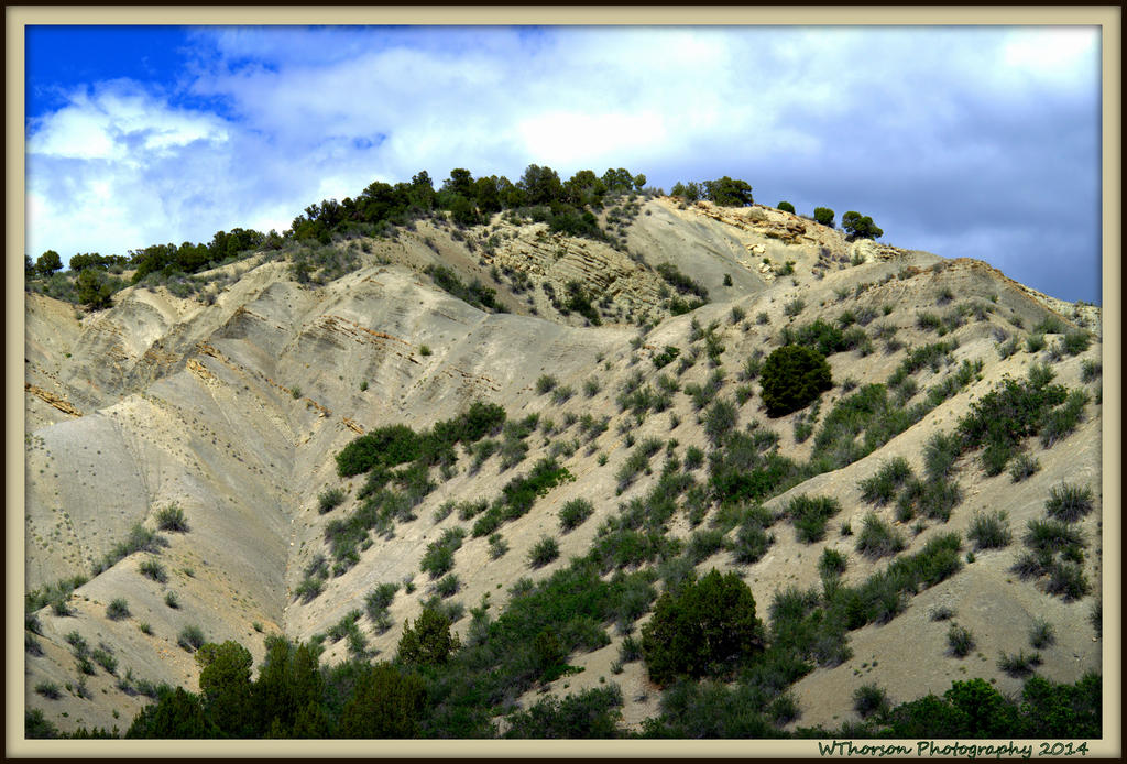 Nephi Canyon 2.jpg