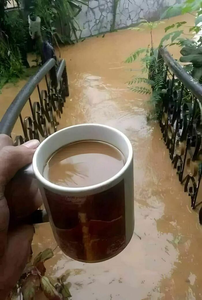 Nescafe Blend 43.jpg