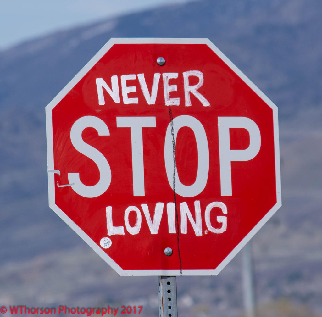 Never STOP Loving at Farmington Bay #2  3-18-2017.jpg