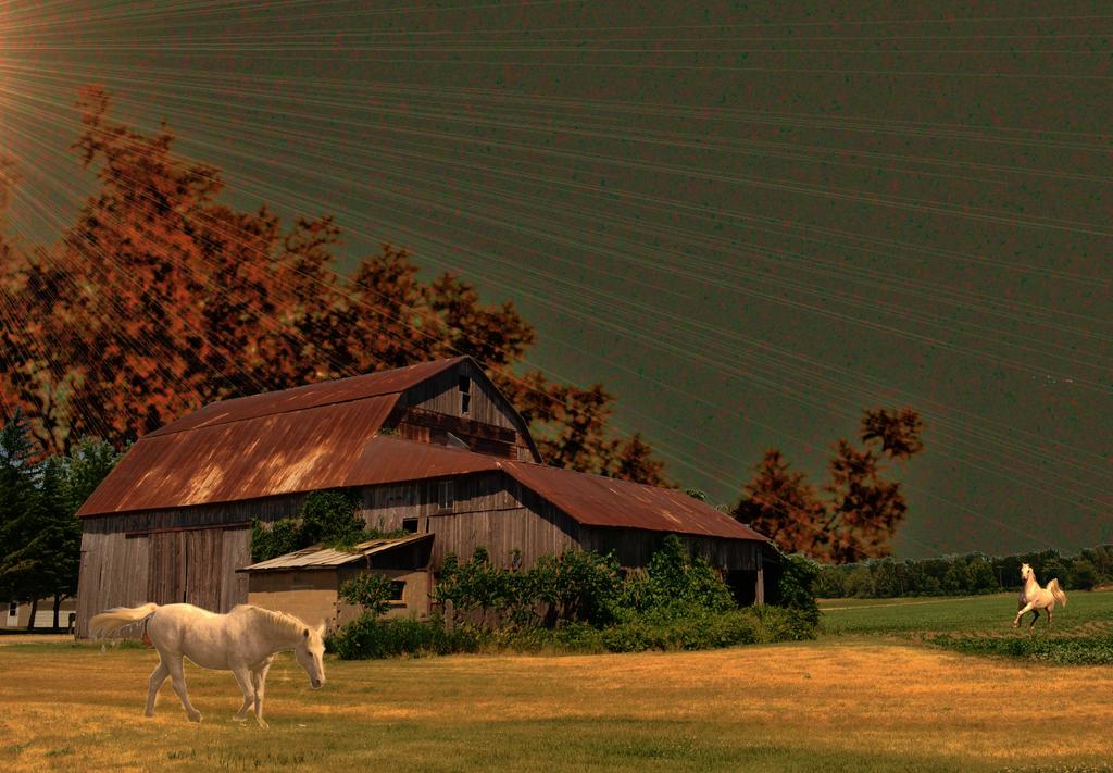 new barn.jpg