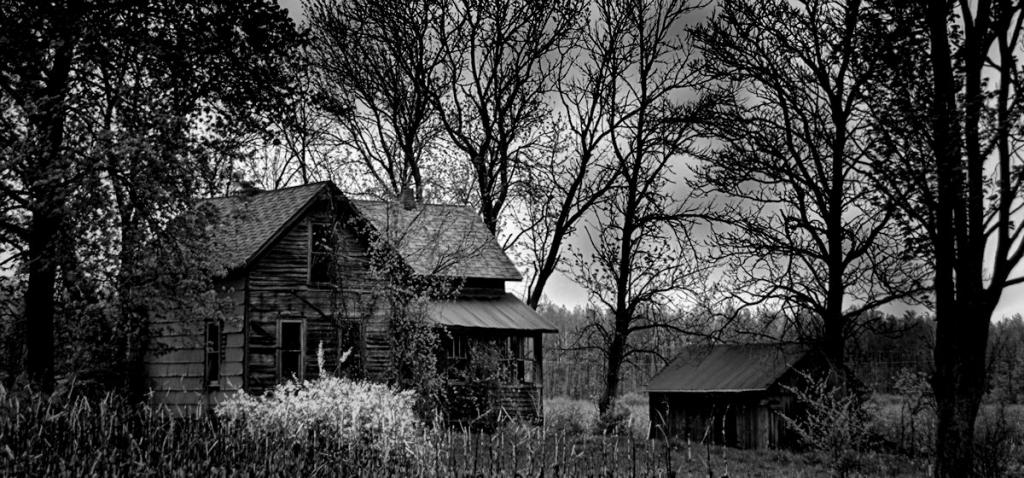 new siding1200blk n wht.jpg
