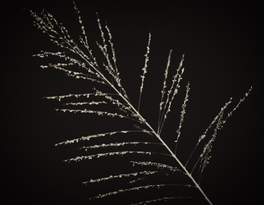 night-2.jpg