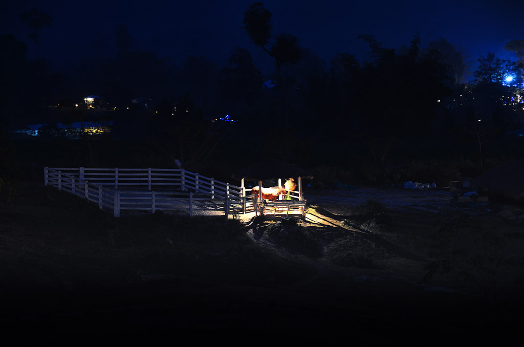 night-4.jpg